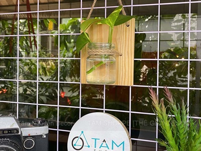 Tấm gỗ lọ thủy tinh treo tường thủy canh nhiều tầng [2 màu - 3 Size] BINHLOHOA-06